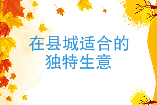在县城适合的独特生意：农村创业者不可错过的“互联网+“先机