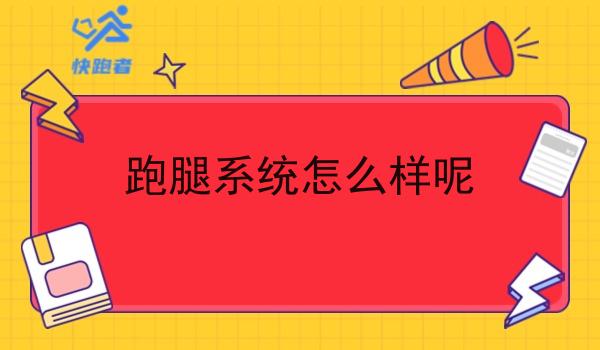 跑腿系统怎么样呢 跑腿系统怎么样呢