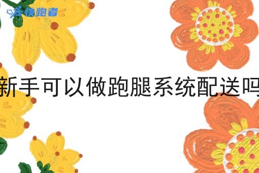 新手可以做跑腿系统配送吗 新手可以做跑腿系统配送吗