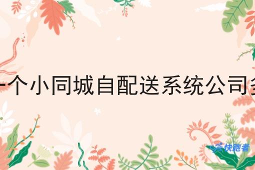 注册一个小同城自配送系统公司多少钱