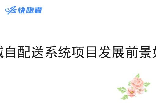 同城自配送系统项目发展前景如何