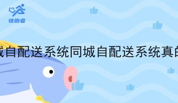 大城市做同城自配送系统同城自配送系统真的做不起来吗 大城市做同城自配送系统同城自配送系统真的做不起来吗