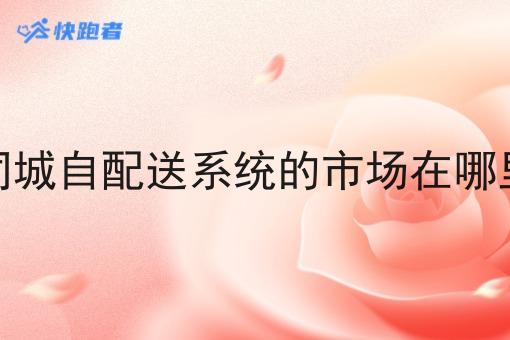 同城自配送系统的市场在哪里