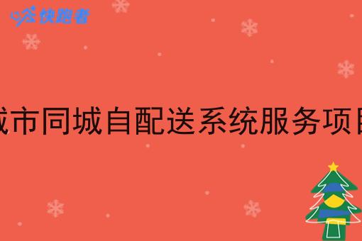 城市同城自配送系统服务项目