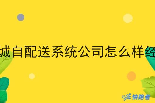 同城自配送系统公司怎么样经营