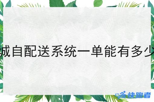 同城自配送系统一单能有多少钱 同城自配送系统一单能有多少钱