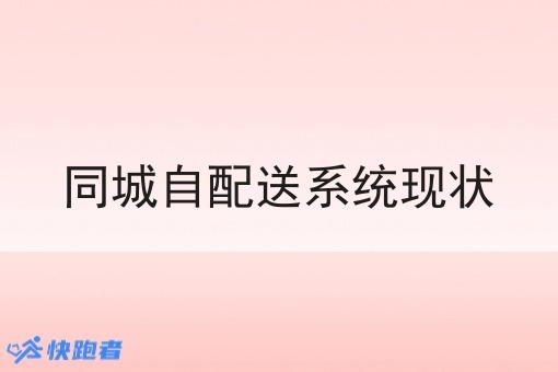 同城自配送系统现状 同城自配送系统现状