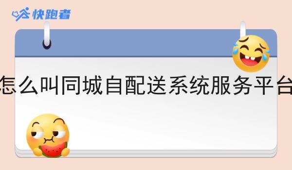怎么叫同城自配送系统服务平台 怎么叫同城自配送系统服务平台