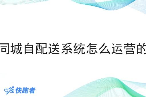 同城自配送系统怎么运营的 同城自配送系统怎么运营的