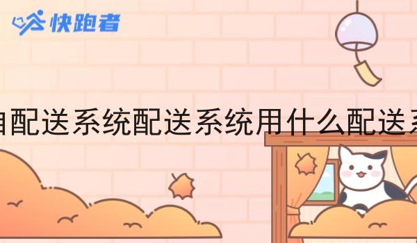 现在同城自配送系统配送系统用什么配送系统比*好