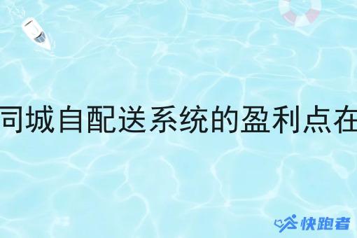 做同城自配送系统的盈利点在哪