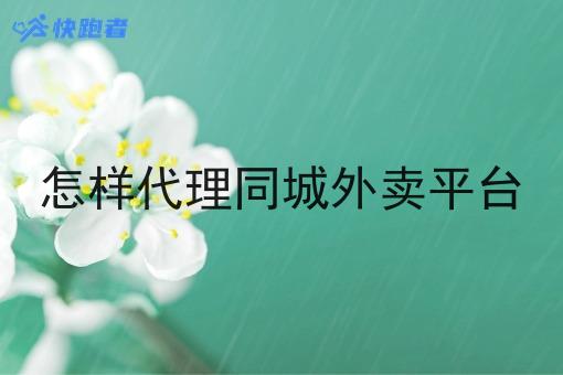 怎样代理同城外卖平台 怎样代理同城外卖平台