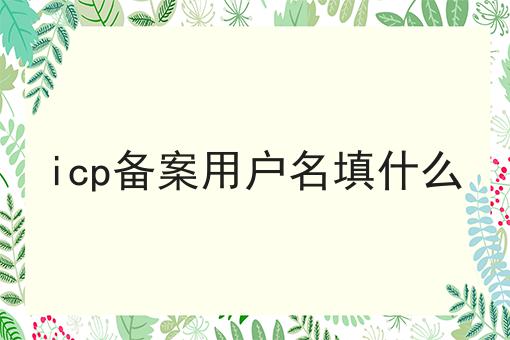 icp备案用户名填什么