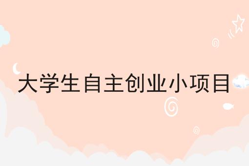 大学生自主创业小项目 大学生自主创业小项目